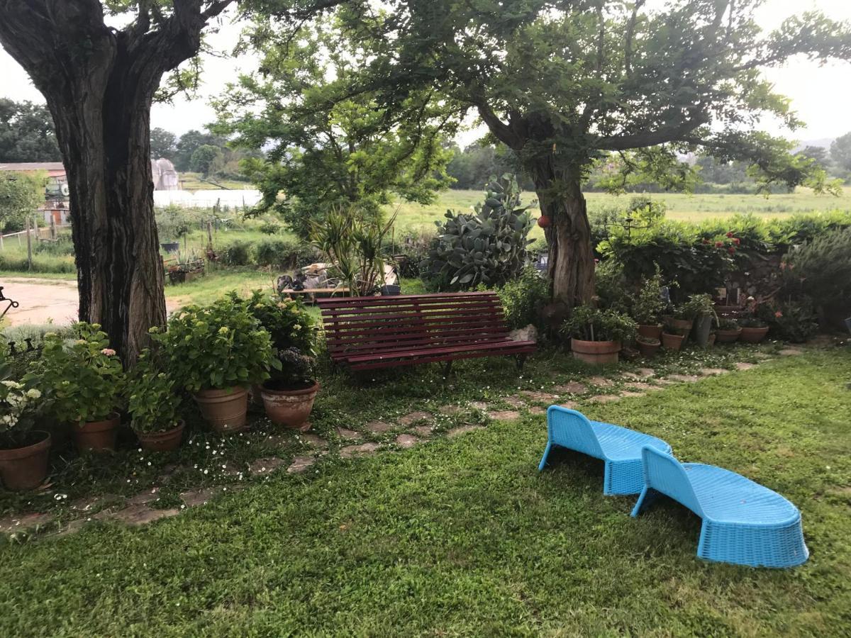 Case Di Vetulonia Castiglione della Pescaia Kültér fotó
